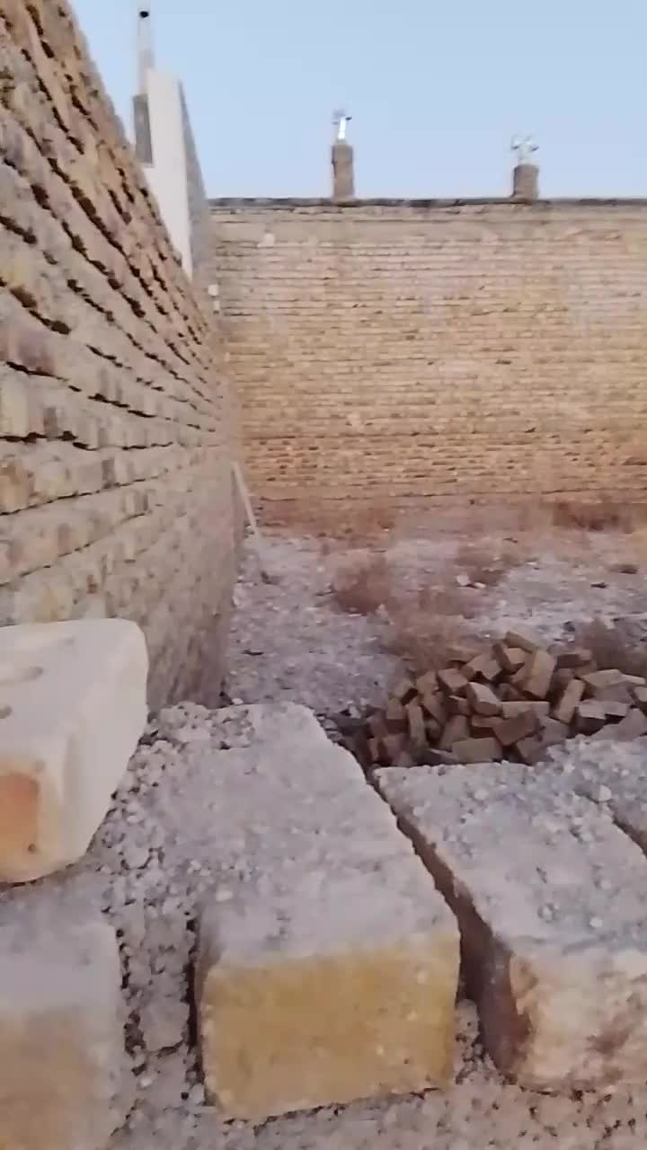 زمین مسکونی|فروش زمین و ملک کلنگی|تربتحیدریه, داروپخش|دیوار