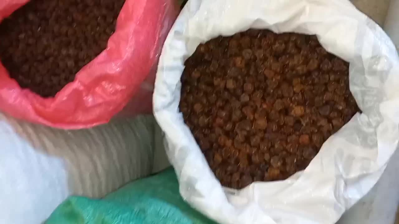 آلوچه خشک|خوردنی و آشامیدنی|تهران, بازار|دیوار