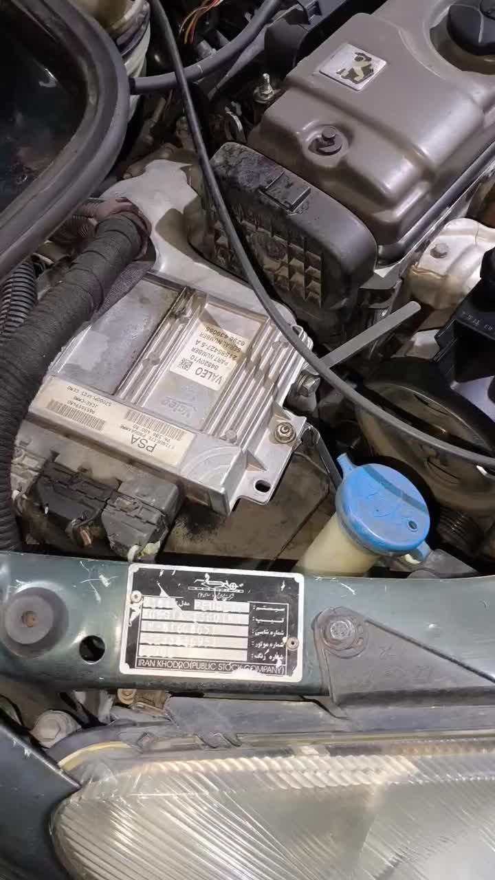 پژو 206 81 تیپ فرانسه  دو در حد خشک|خودرو سواری و وانت|گرمدره, |دیوار