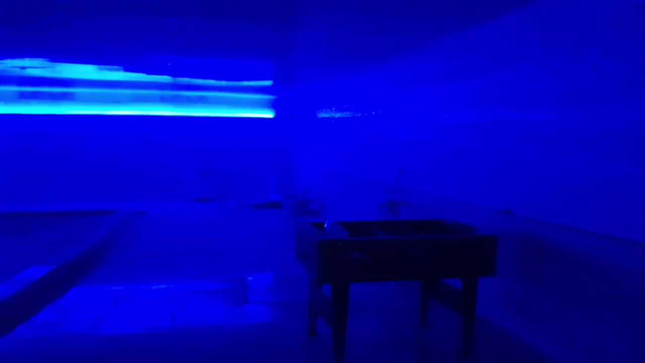 اجاره استخر سقف پوشیده|اجارهٔ کوتاه‌مدت ویلا و باغ|بندرعباس, |دیوار