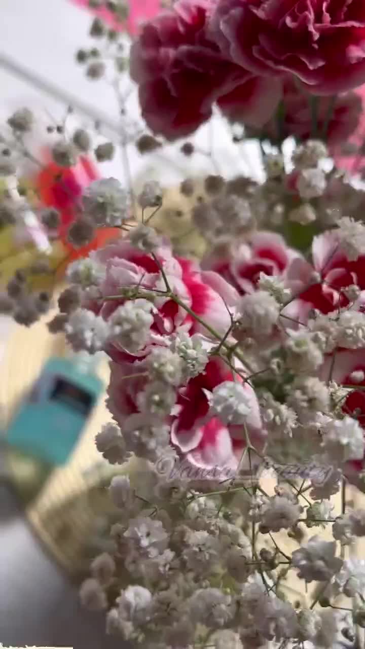 آرایشی عمده و تک|آرایشی، بهداشتی، درمانی|شیراز, حافظیه|دیوار