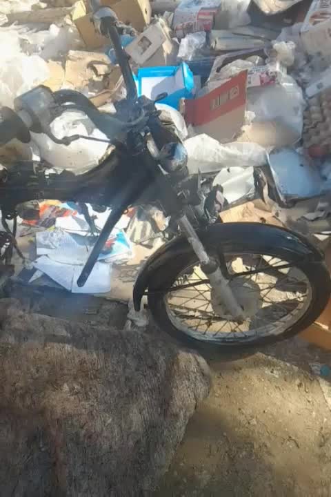 موتور|موتورسیکلت|جهرم, |دیوار