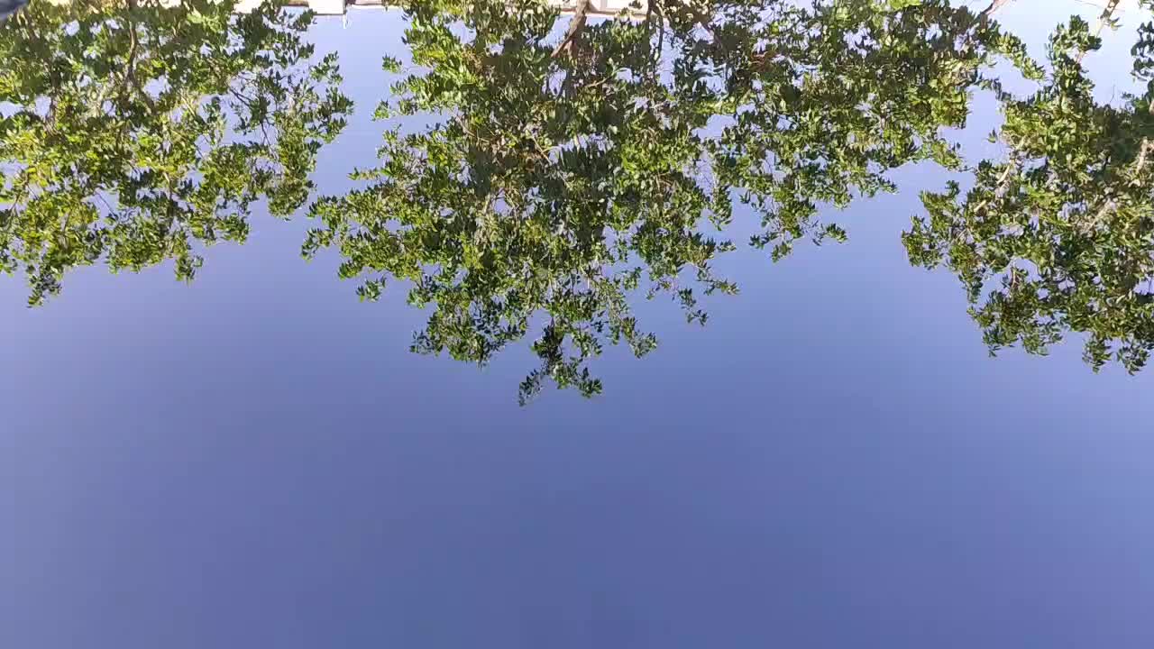 پولیش و نانو سرامیک تخصصی خودرو|خدمات موتور و ماشین|شهرکرد, |دیوار