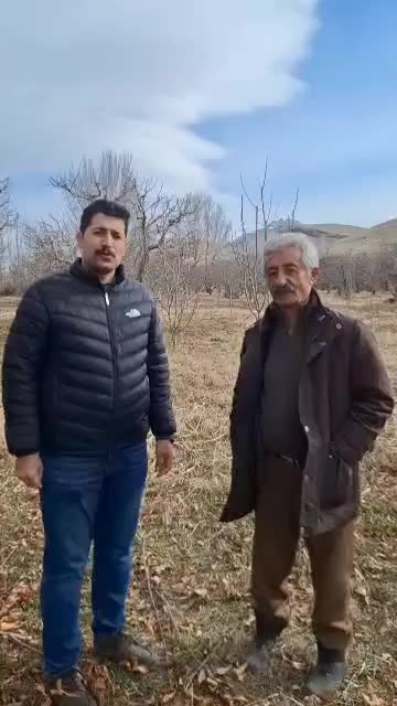 کود چال کود|خدمات باغبانی و درختکاری|مهاباد (آذربایجان غربی), |دیوار