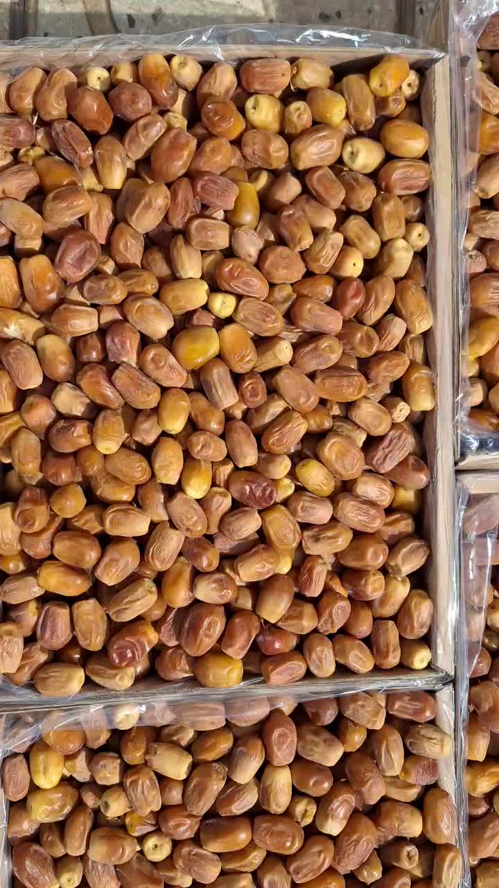 خرما زاهدی قصب|عمده‌فروشی|قیروکارزین, |دیوار