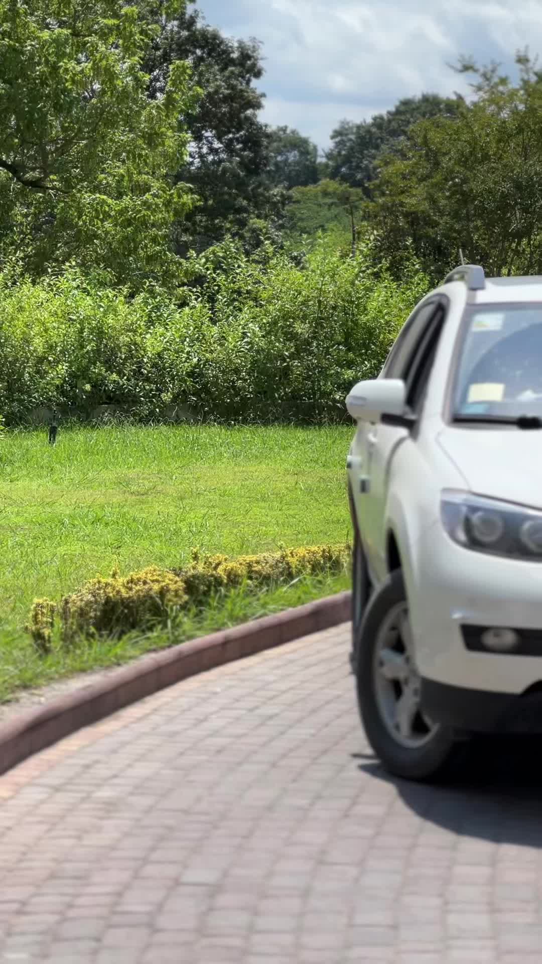 BYD S6|خودرو سواری و وانت|مشهد, هفت تیر (آب و برق)|دیوار