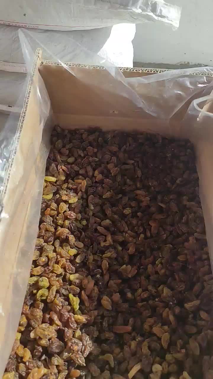 خشکبار کشمش و گله کاشمر احمد صمدی عبادی91|خوردنی و آشامیدنی|مشهد, عبادی|دیوار