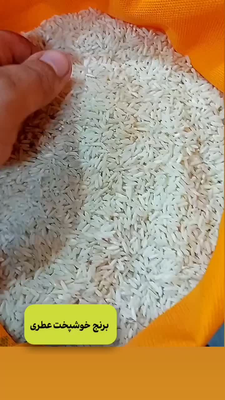 برنج سرلاشه طارم معطر ۲۳۰ هزار تومان|خوردنی و آشامیدنی|مشهد, شهرک رازی (شهرک غرب)|دیوار