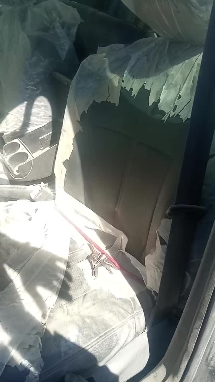 استوک لوازم زانتیا و 206|قطعات یدکی و لوازم جانبی|فامنین, |دیوار