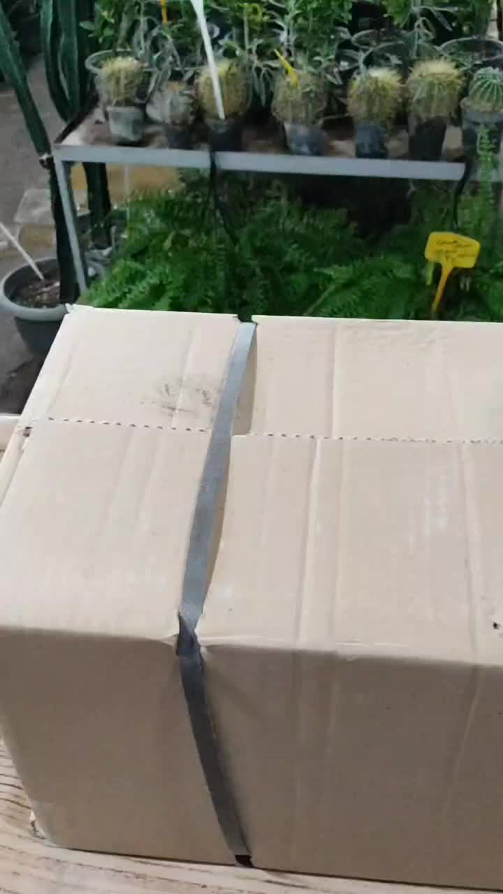 فروش ویژه پک ۴ تایی گلدان / گلخانه میر|گل و گیاه طبیعی|اصفهان, ملکشهر|دیوار