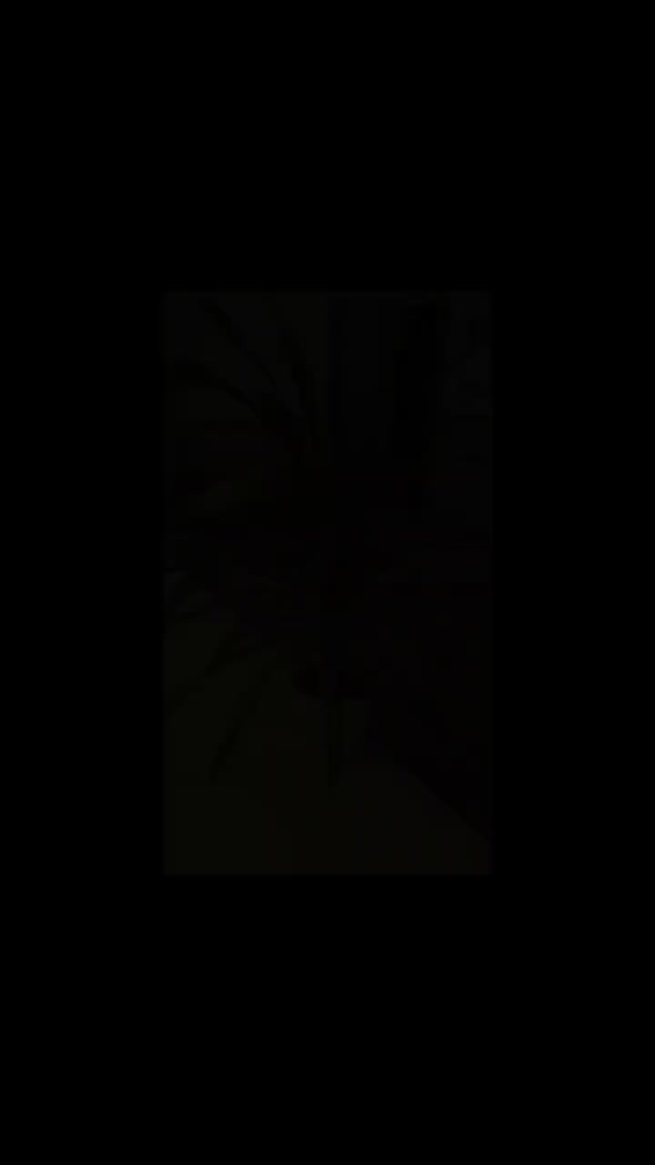 گل پاندانوس بزرگ|گل و گیاه طبیعی|شاهرود, |دیوار