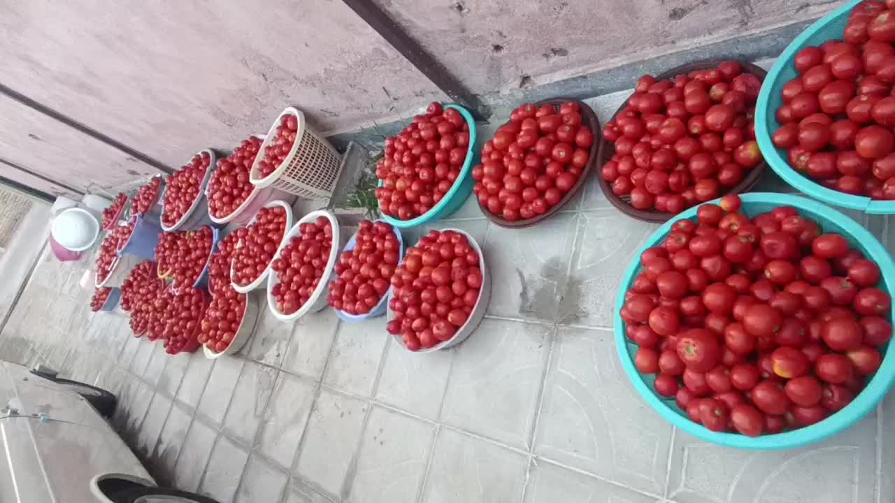 آبگیری سیار گوجه فرنگی  با دستگاه بروز و مدرن|خوردنی و آشامیدنی|تبریز, |دیوار