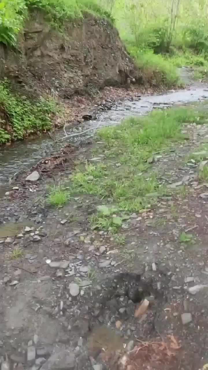 باغ ۱۸۰۰ متری واقع در روستای خوش آب و هوا بالندر|فروش زمین و ملک کلنگی|طرقبه, |دیوار