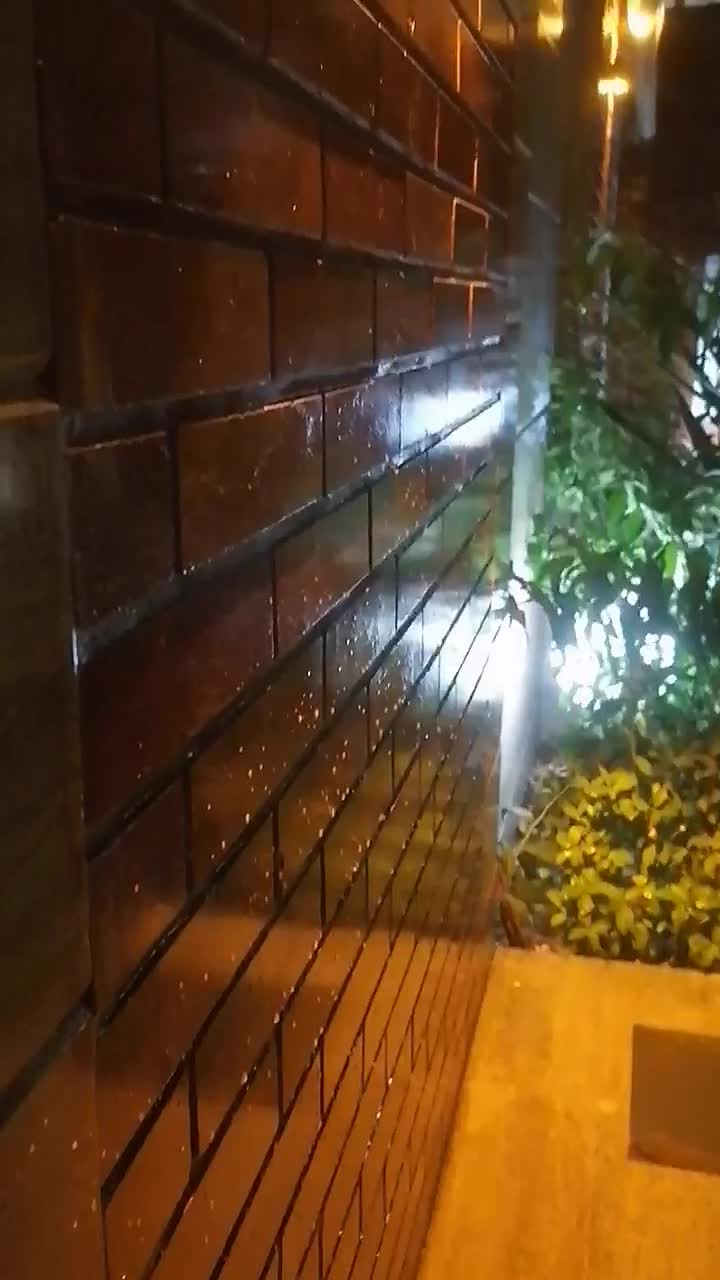 نوسازی، بازسازی، آبندی تخصصی|خدمات پیشه و مهارت|رشت, گلسار|دیوار