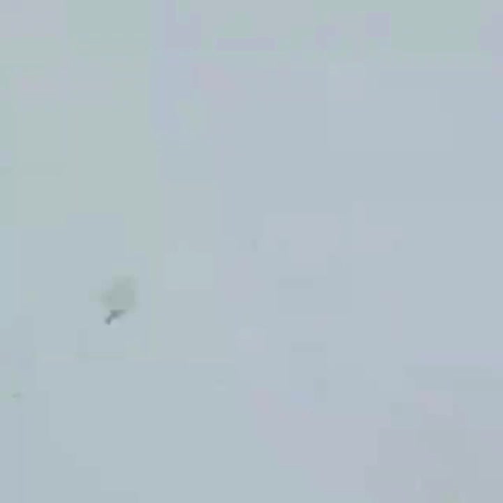 اسب|اسب و تجهیزات اسب‌سواری|تویسرکان, |دیوار