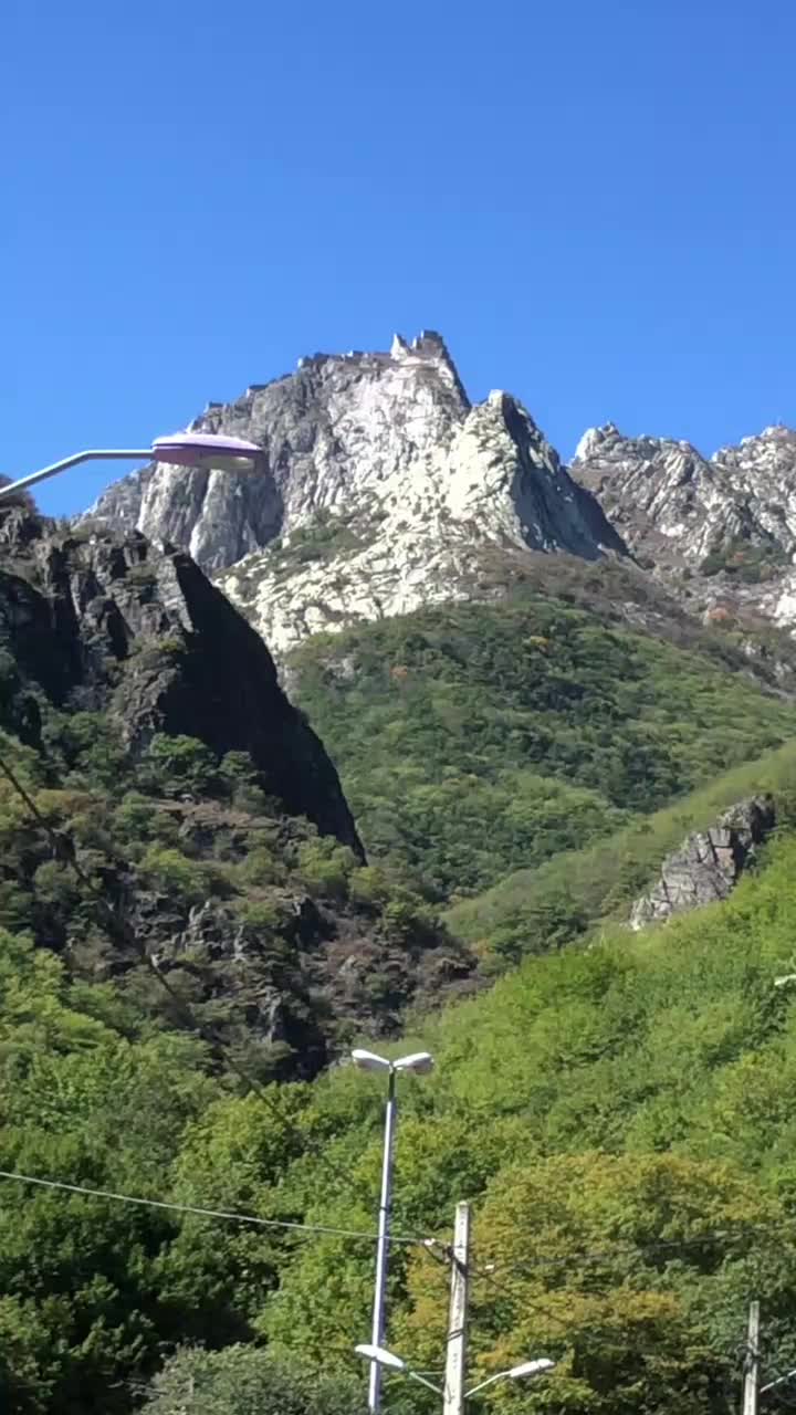 پیکان۷۸|خودرو سواری و وانت|تبریز, |دیوار