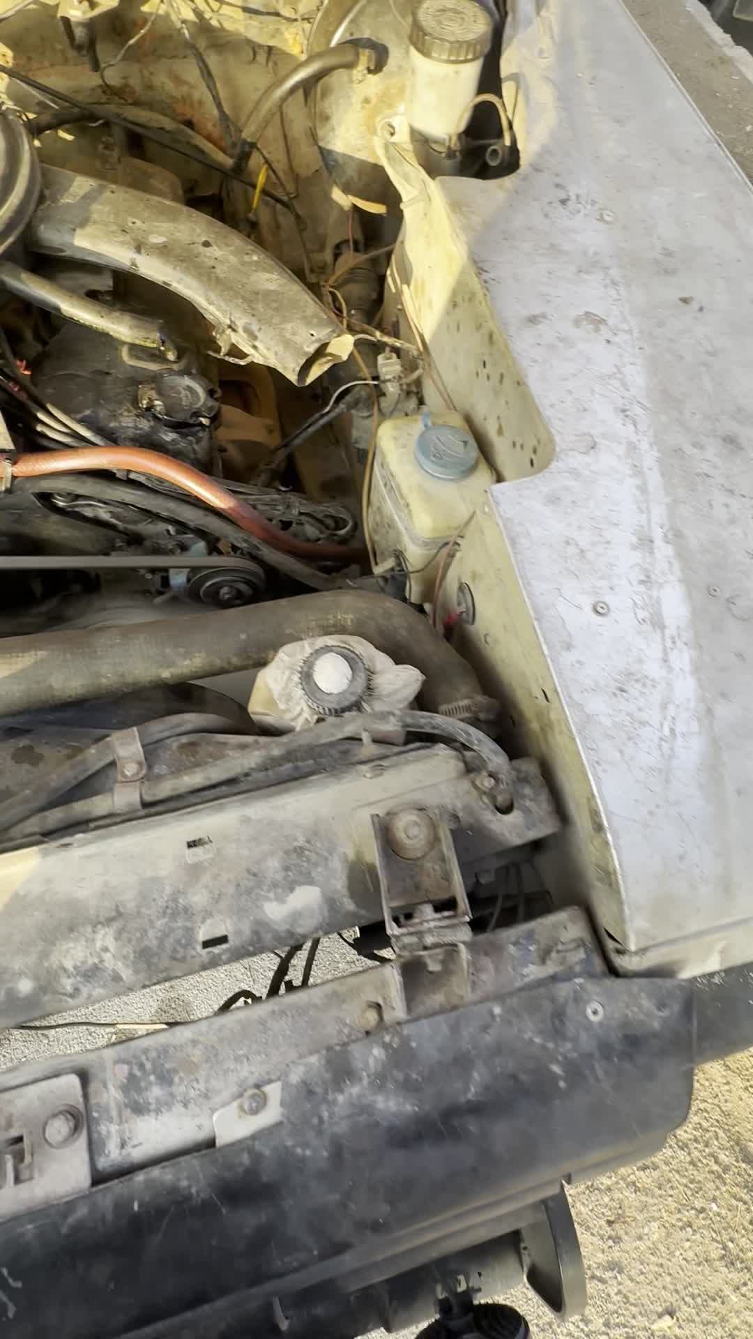 پاژن ۸۱|خودرو سواری و وانت|ارومیه, |دیوار