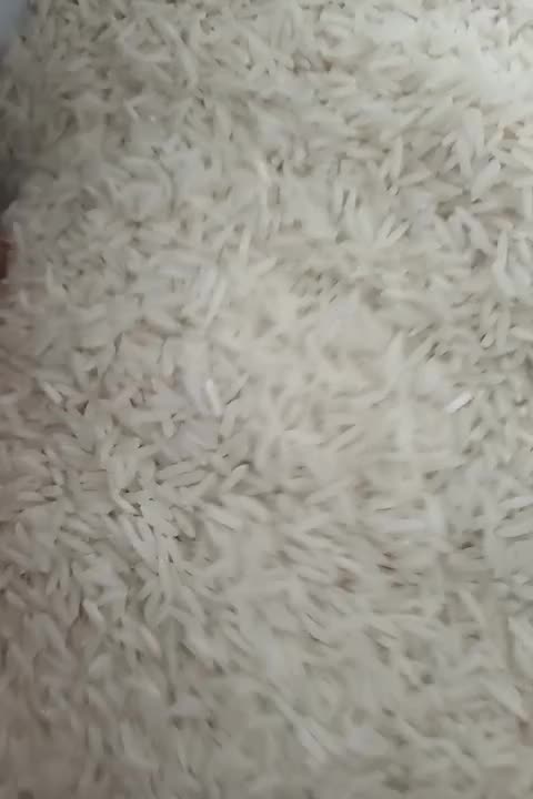 برنج شرکتی/ انتخاب ویژه هاشمی ایران و تاجیکستان|خوردنی و آشامیدنی|گرمدره, |دیوار