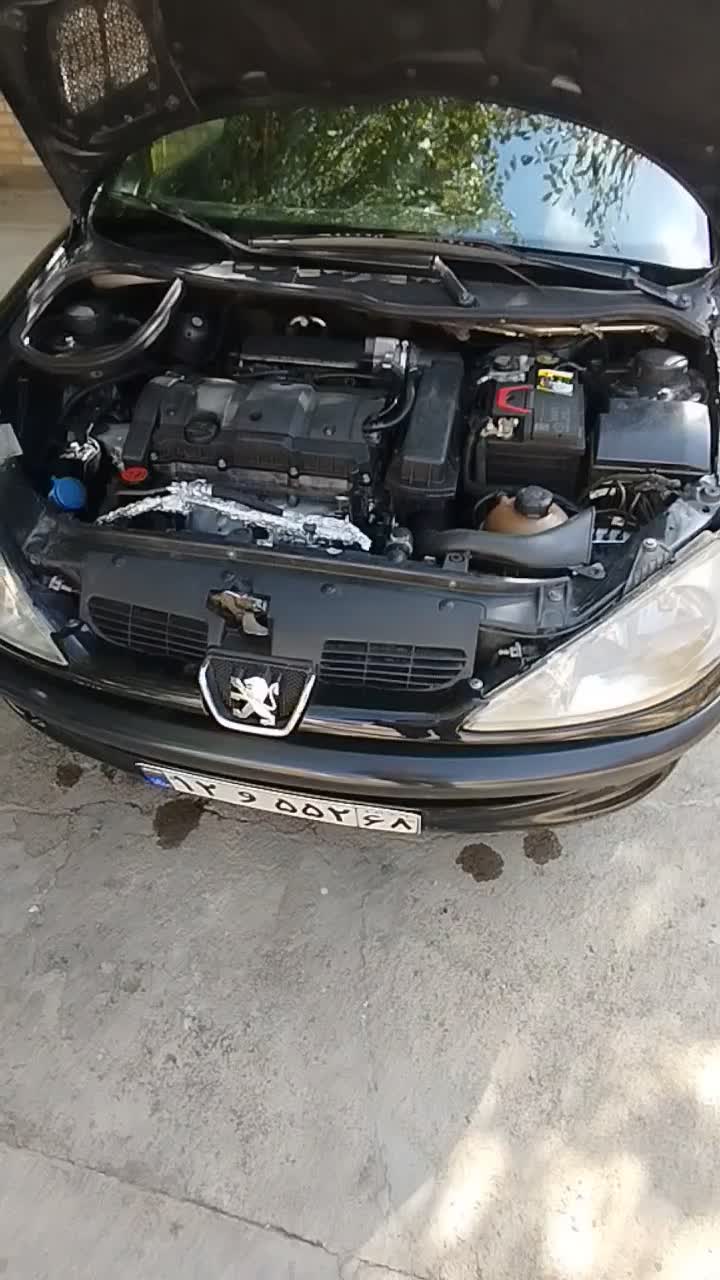 206 تیپ 5 مدل 96 موتور tu5|خودرو سواری و وانت|بیجار, |دیوار