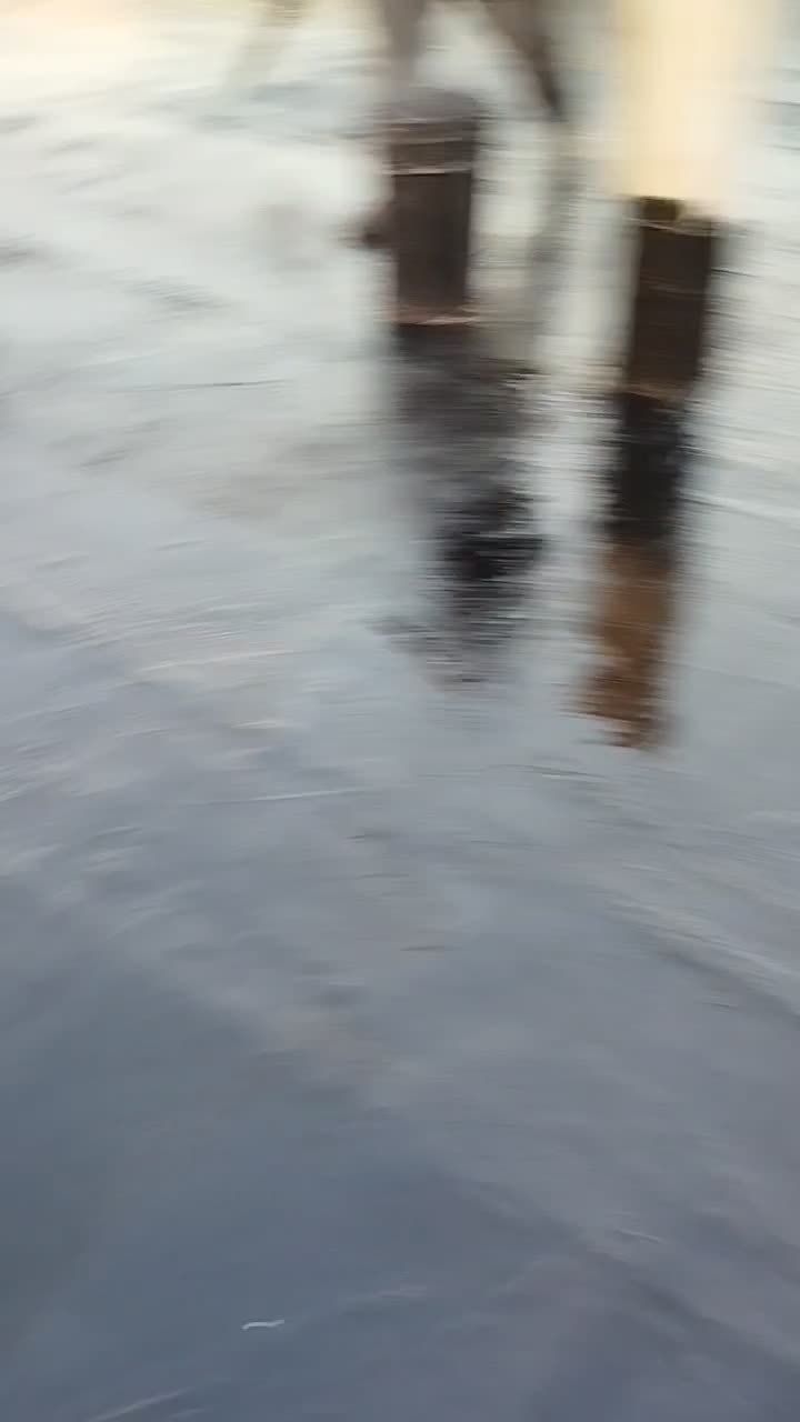 آسفالت.ایزوگام قیروگونی ولکه گیری|خدمات پیشه و مهارت|ری, شهرری|دیوار