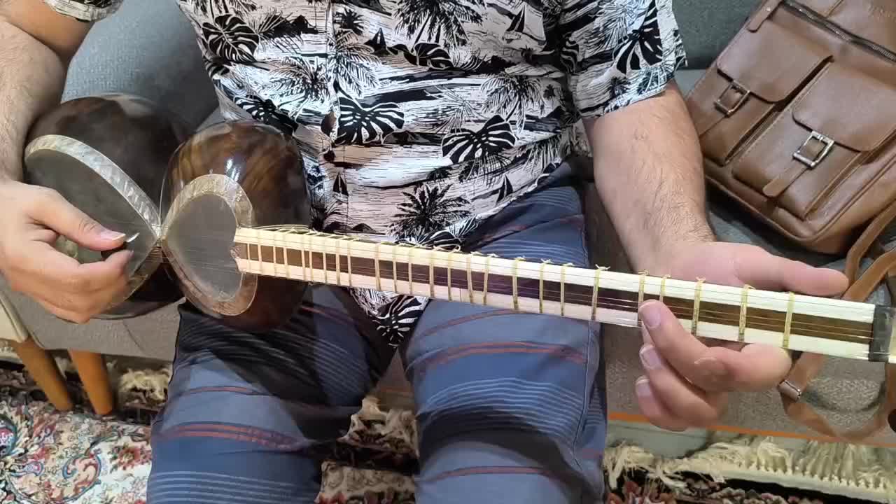 تار سه مهر هاشمیان حرفهای|سازهای سنتی|شهریار, شهرک شاهد|دیوار