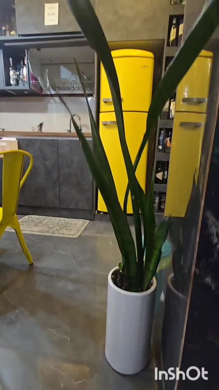 ویلانوساز شیک مخصوص سخت پسندها|اجارهٔ کوتاه‌مدت ویلا و باغ|آستارا, |دیوار