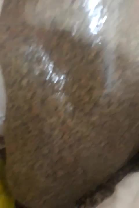 شهابسنگها زرن د|جواهرات|زرند, |دیوار