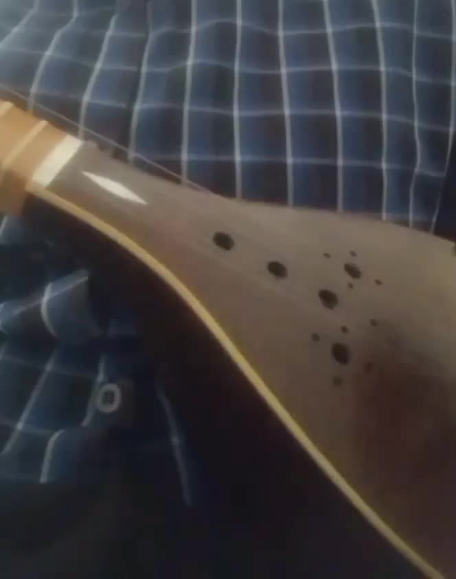 سه تار حرفه ای|سازهای سنتی|شیراز, کاراندیش|دیوار