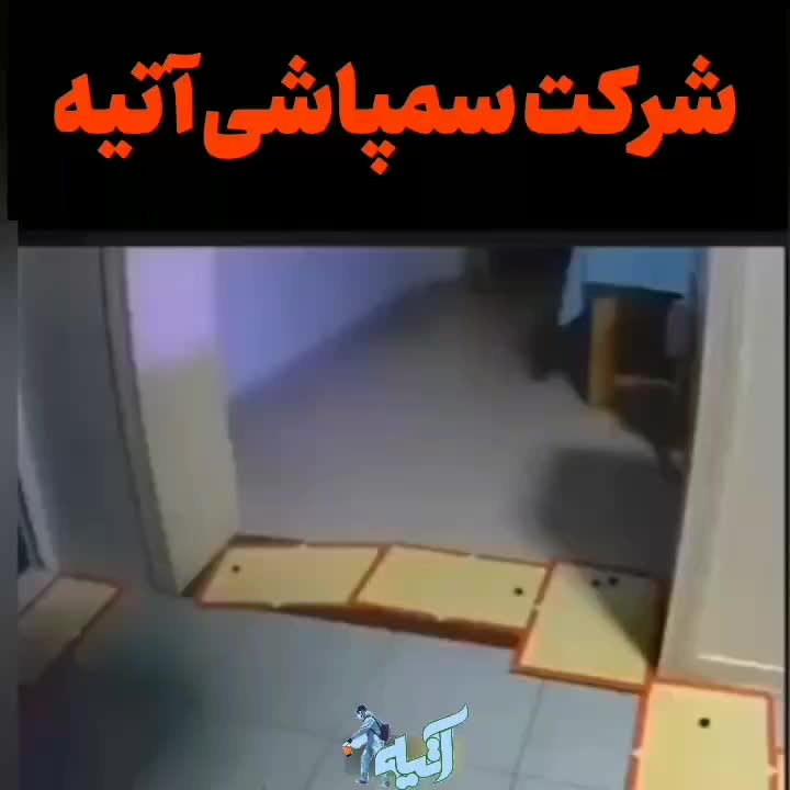 شرکت سمپاشی آتیه در پرند سم پاشی تضمینی|خدمات نظافت|پرند, فاز ۲|دیوار