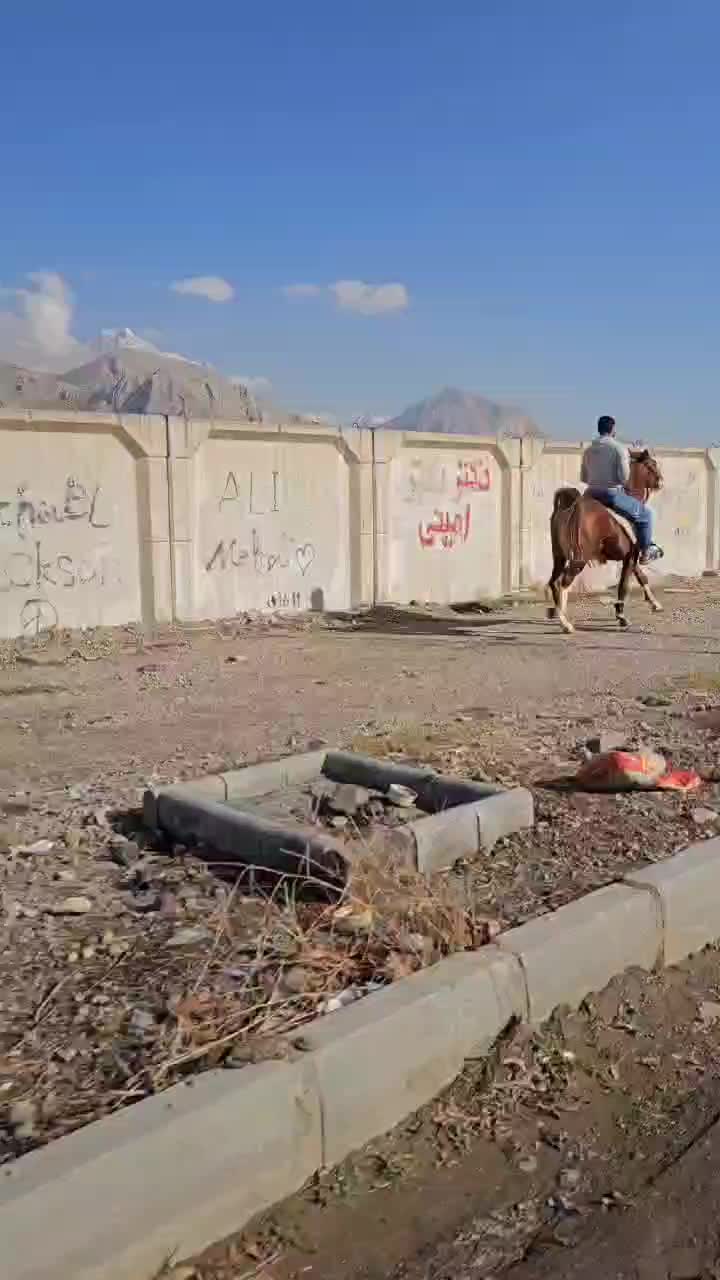 نریان سه سال و هشت ماهه|اسب و تجهیزات اسبسواری|تویسرکان, |دیوار