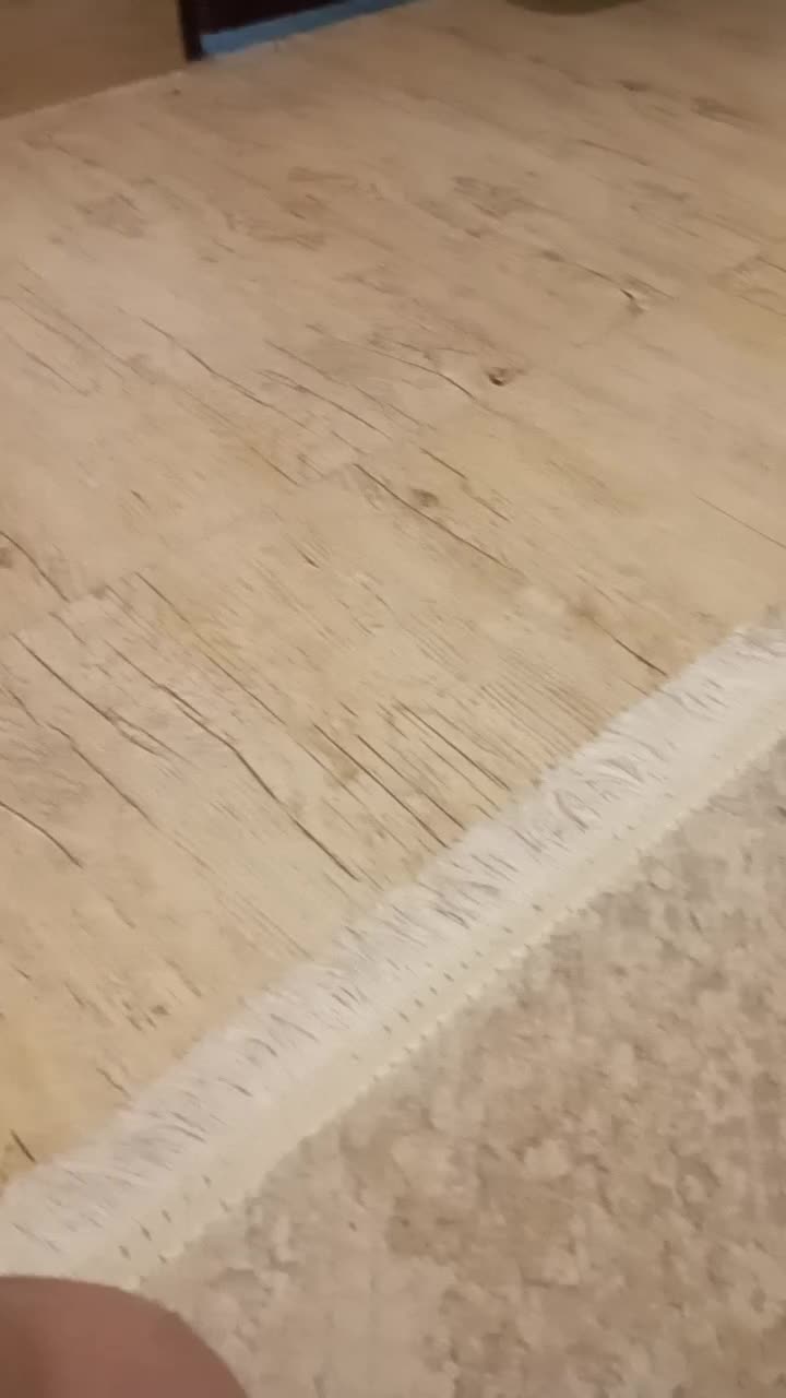 واگذری گربه  Dshباتمام وسایل کاملا رایگان می باشد|گربه|اسلام‌شهر, شهرک سعیدیه|دیوار