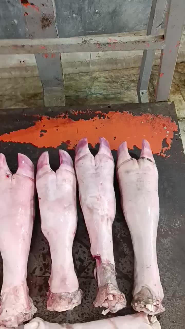 فروش عمده زبان گوشت مغز پاچه بناگوش جگر سفید|خوردنی و آشامیدنی|تهران, جوادیه|دیوار