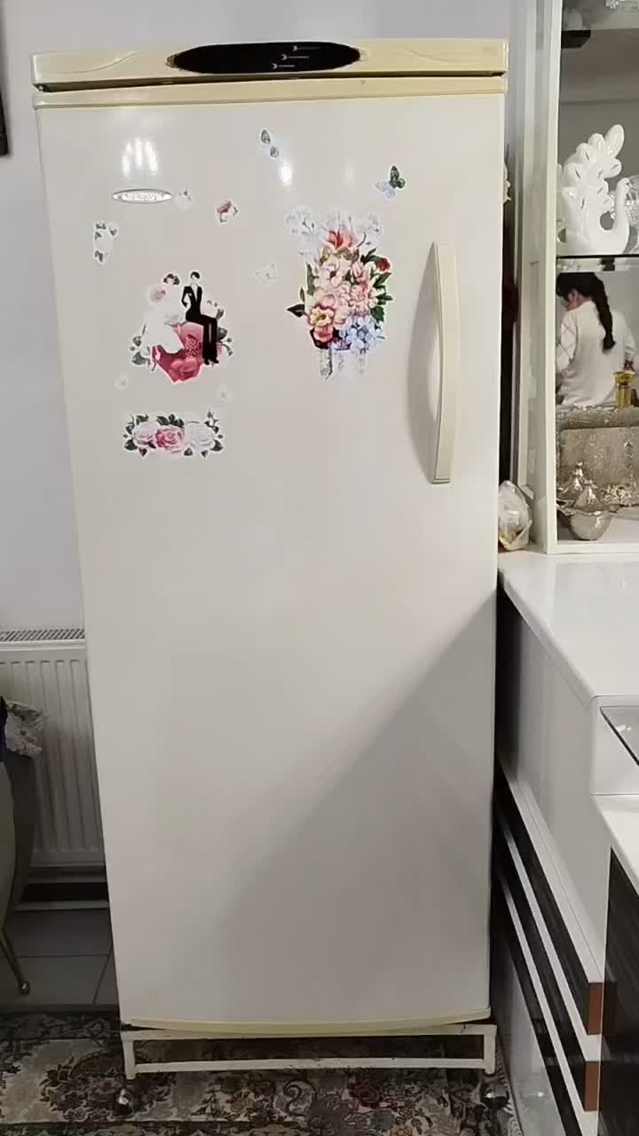 بدون تعمیر کاملا سالم|یخچال و فریزر|سهند, |دیوار