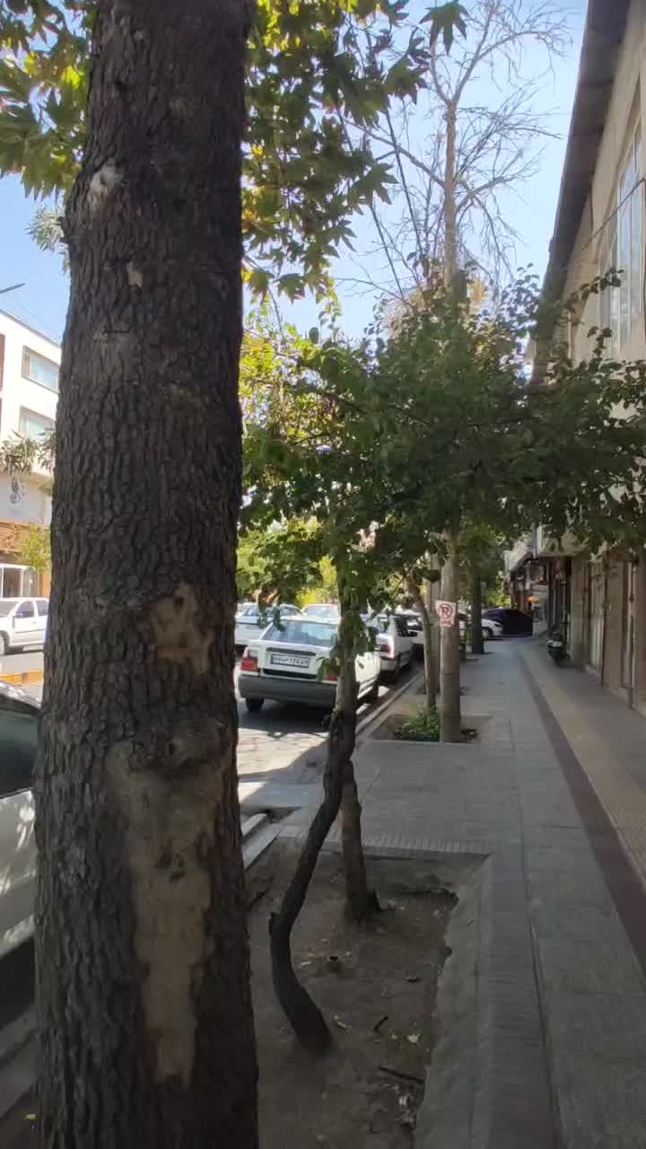 اجاره مغازه تجاری ۴۵متری /خلدبرین ابتدای مشیر|اجارهٔ مغازه و غرفه|شیراز, خلدبرین|دیوار