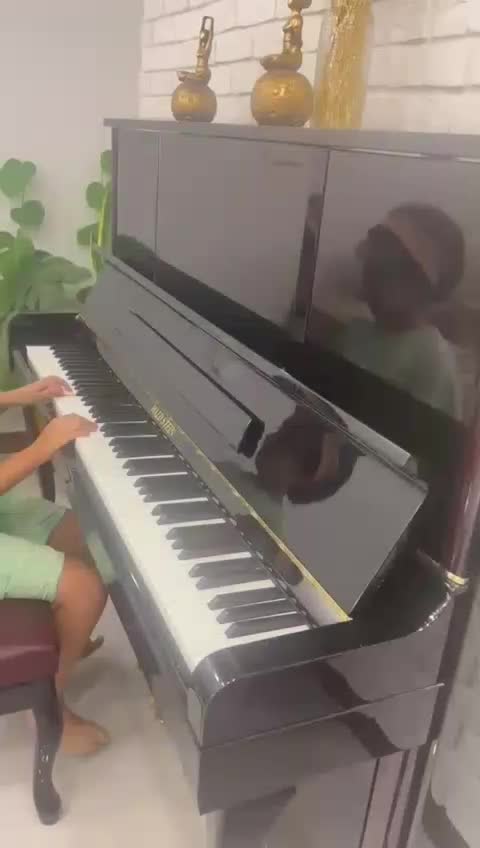 پیانو آکوستیک والد اشتاین|پیانو، کیبورد، آکاردئون|مشهد, جانباز|دیوار