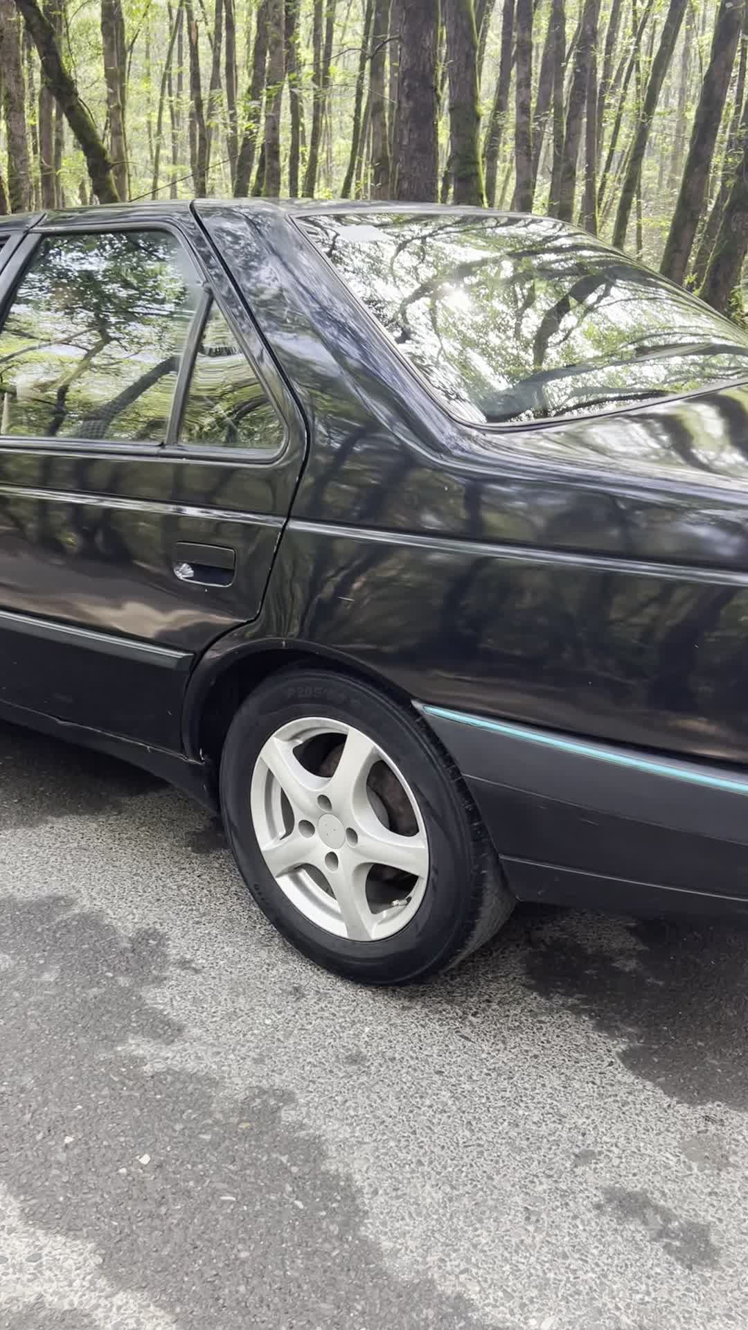 پژو ۴۰۵ مدل ۸۳|خودرو سواری و وانت|تالش, طولارود|دیوار