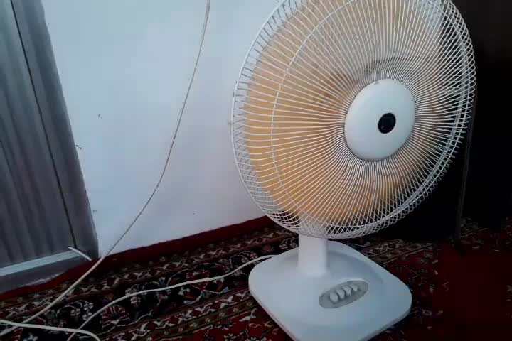 پنکه SUNNY|پنکه و تصفیه‌کنندهٔ هوا|رودسر, |دیوار