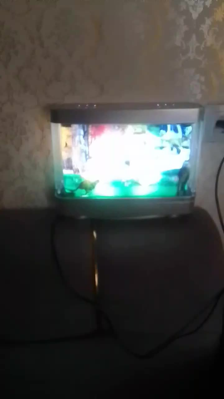 چراغ خواب جنگلی|چراغ خواب و آباژور|خوی, |دیوار