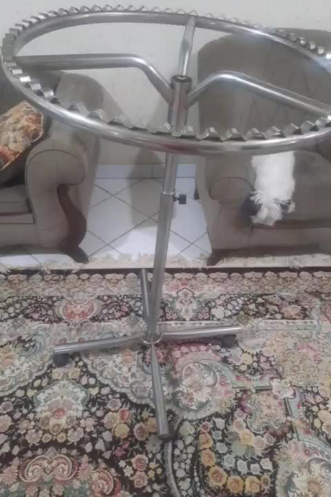 رگال چرخشی|بندرخت و رختآویز|رشت, رشتیان|دیوار