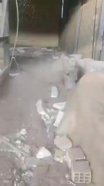 ۳طبقه تجاری مسکونی|فروش خانه و ویلا|دورود, |دیوار