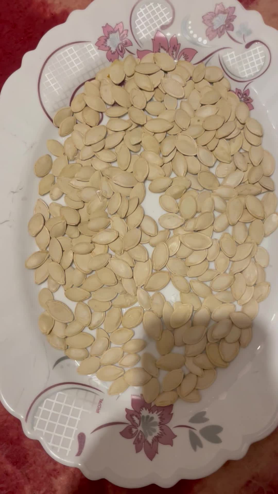 فروش تخمه کدو|عمده‌فروشی|بهمن صغاد, |دیوار