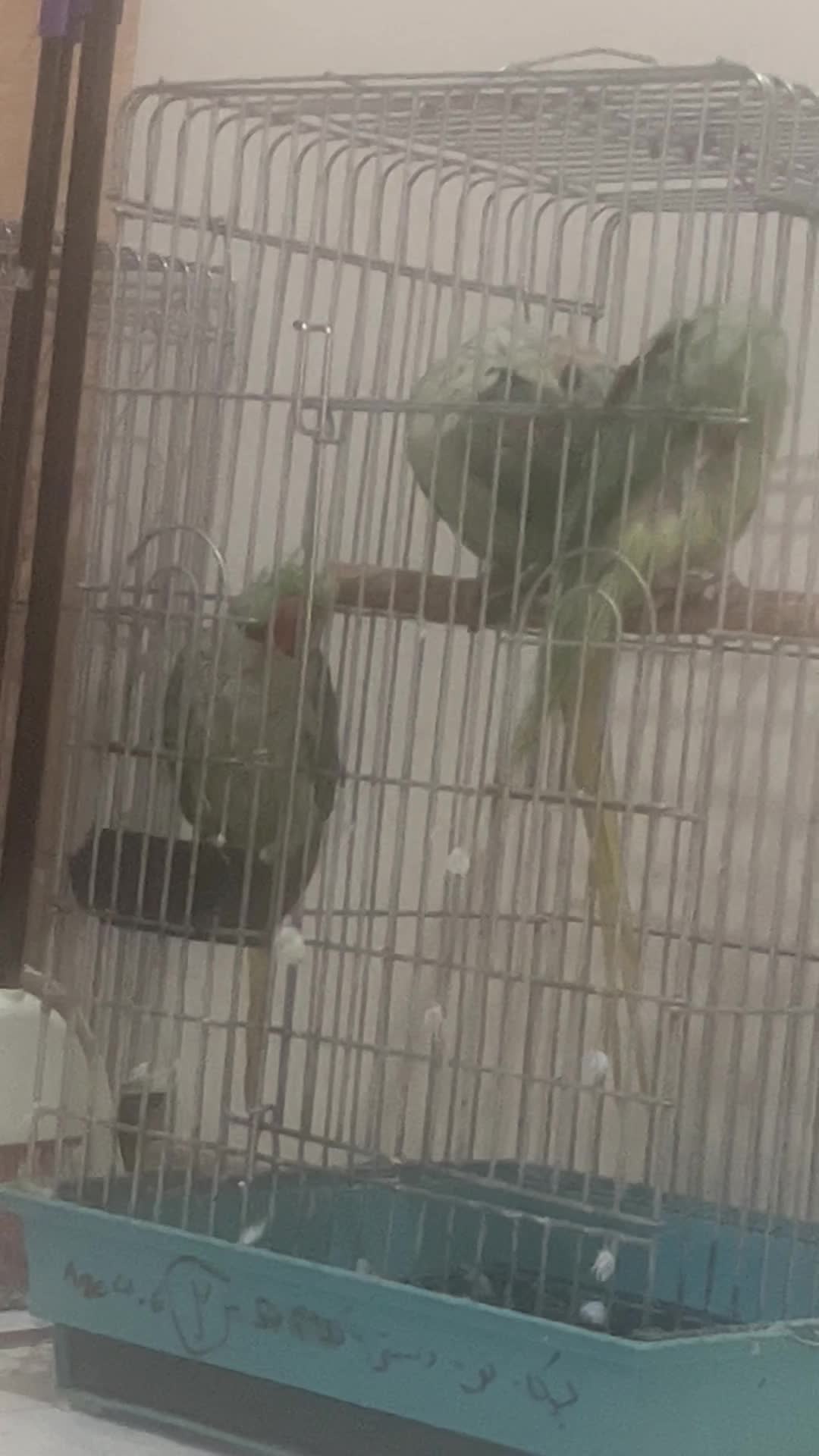 0919.4567.989|سیم‌کارت|تهران, امانیه|دیوار