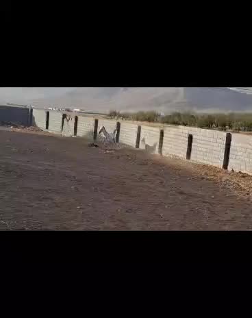 اسب|اسب و تجهیزات اسبسواری|بروجن, |دیوار