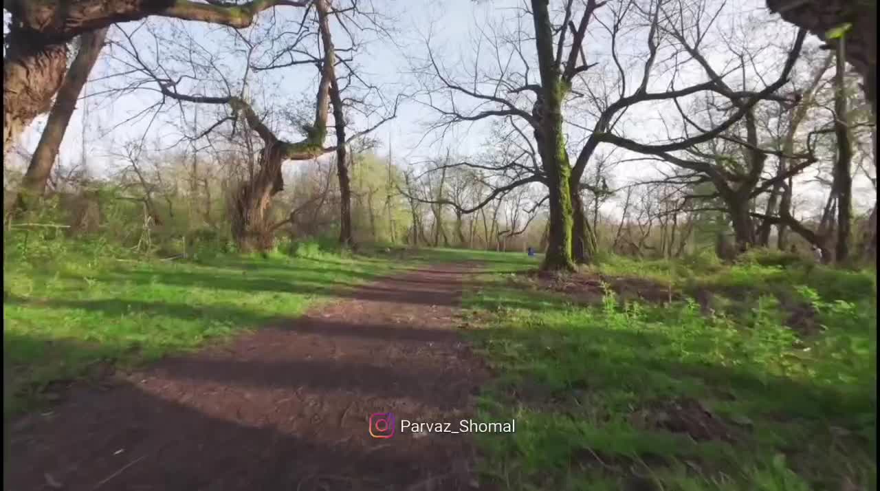 تصویربرداری/هوایی/هلیشات/fpv/رشت|خدمات پذیرایی، مراسم|رشت, رشتیان|دیوار