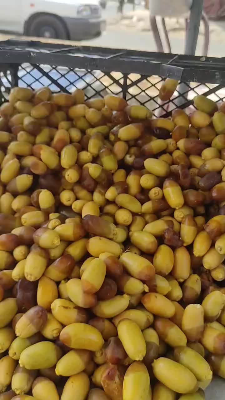 رطب|خوردنی و آشامیدنی|اهواز, شریعتی جنوبی|دیوار