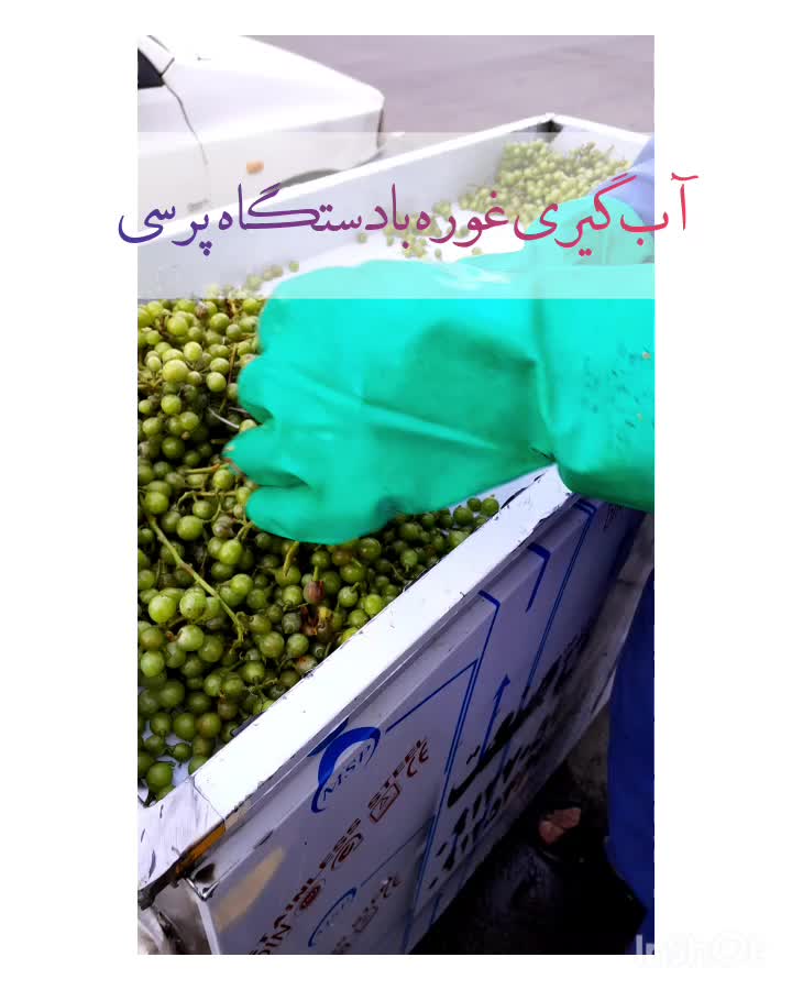 آبغوره گیری پرسی|خدمات پیشه و مهارت|قزوین, |دیوار