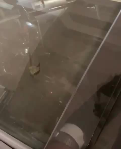 بنز w124|خودرو سواری و وانت|تهران, امیریه|دیوار