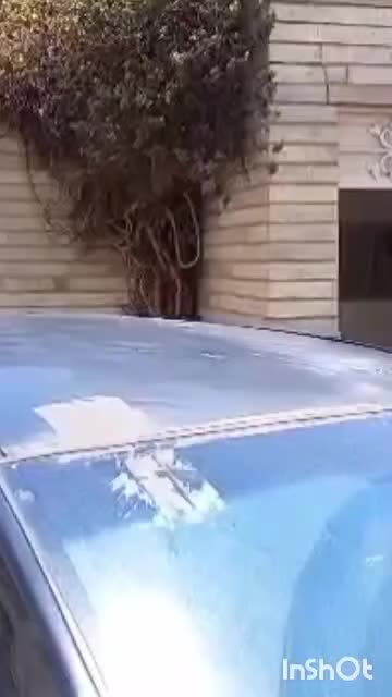 پولیش سرامیک واکس احیا افتاب سوختگی کارواش سیار|خدمات موتور و ماشین|تهران, صادقیه|دیوار