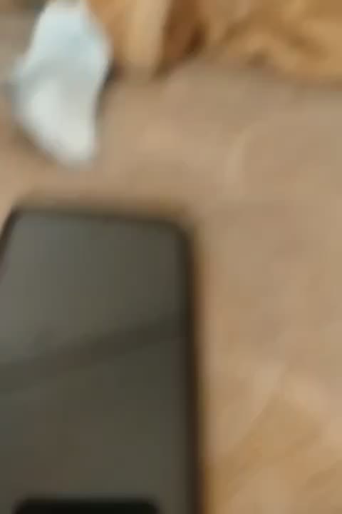 گوشی سامسونگ a50|موبایل|صدرا-فارس, فاز ۱|دیوار