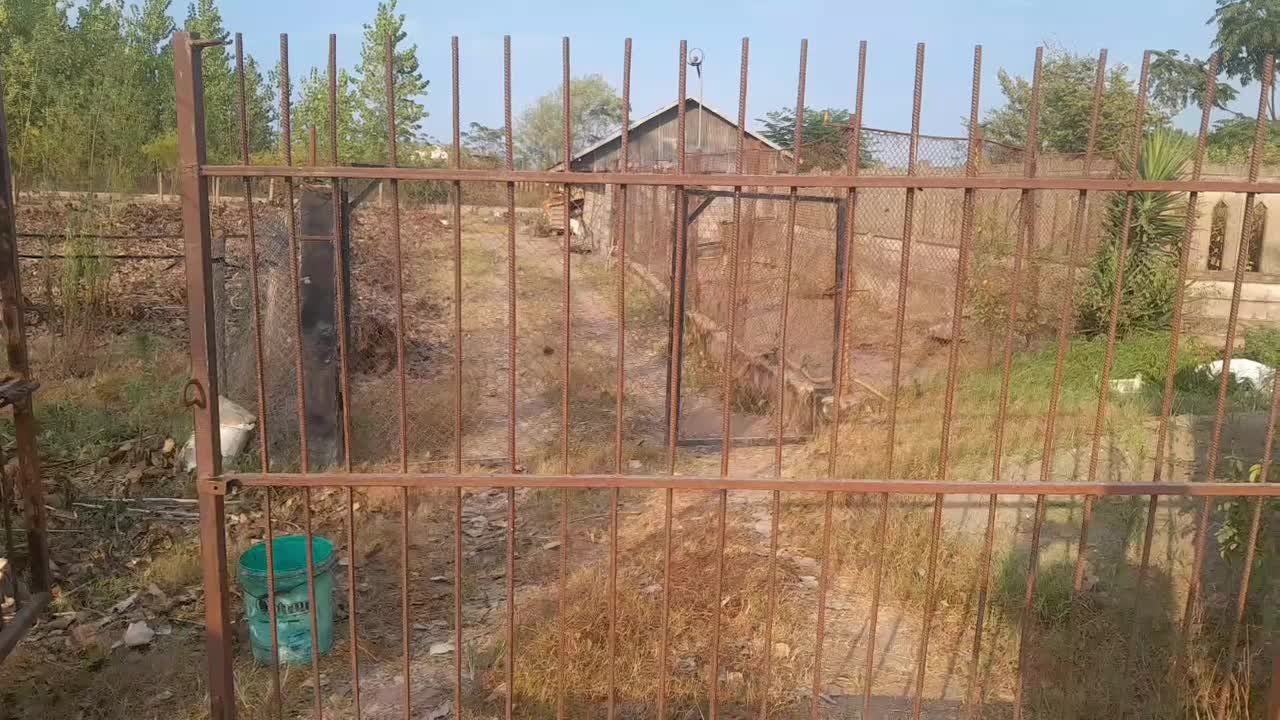اجاره سوله صدمتر مربعی با امتیاز آب برق گاز|اجارهٔ دفتر صنعتی، کشاورزی، تجاری|بندر انزلی, چهارفریضه|دیوار